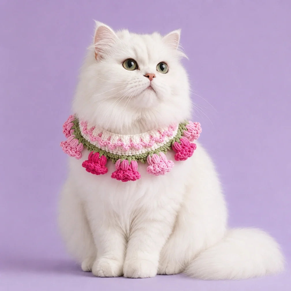 Pet Collars