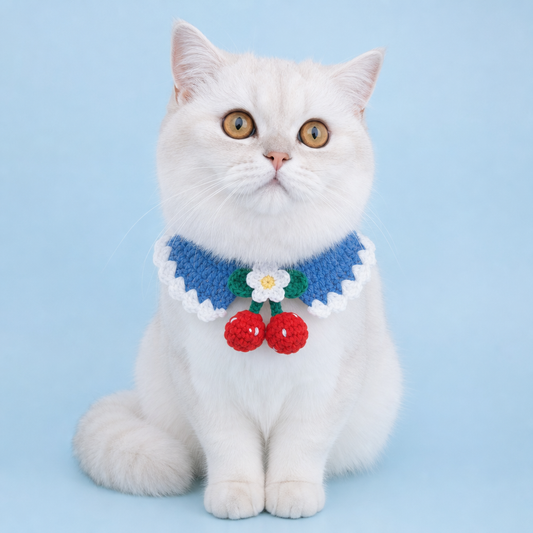 Pink Strawberry Collar