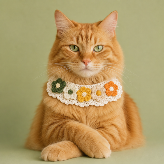 Pink Strawberry Collar