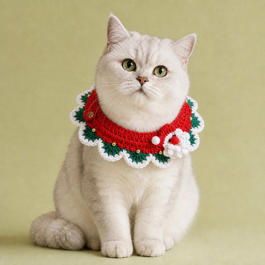 Santa Christmas Wreath Crochet Pet Collar
