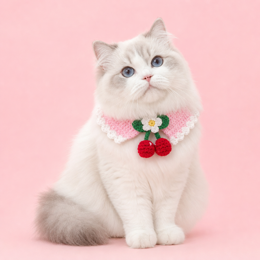 Pink Strawberry Collar