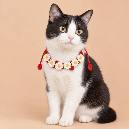 White Daisy and Strawberry Crochet Pet Collar