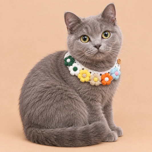 Multicolor Flower Crochet Pet Collar