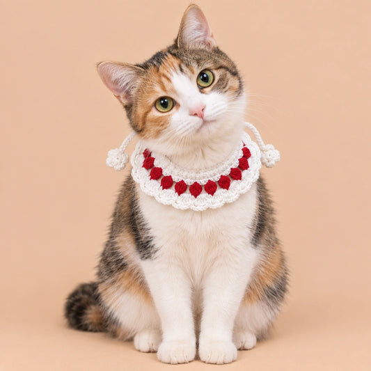 Red-and-White Loop Ruffle Crochet Pet Collar