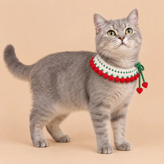 Red Bobble Fringe Crochet Pet Collar