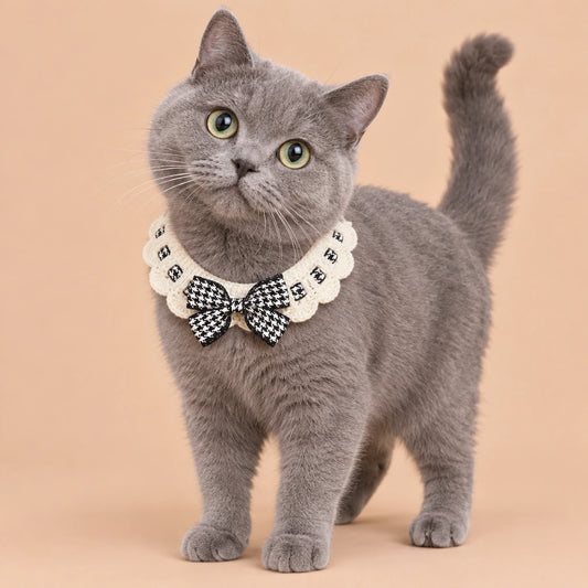 Black-and-White Tuxedo Crochet Pet Collar