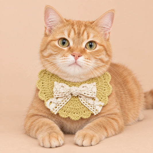Olive Lace Bow Bib Crochet Pet Collar