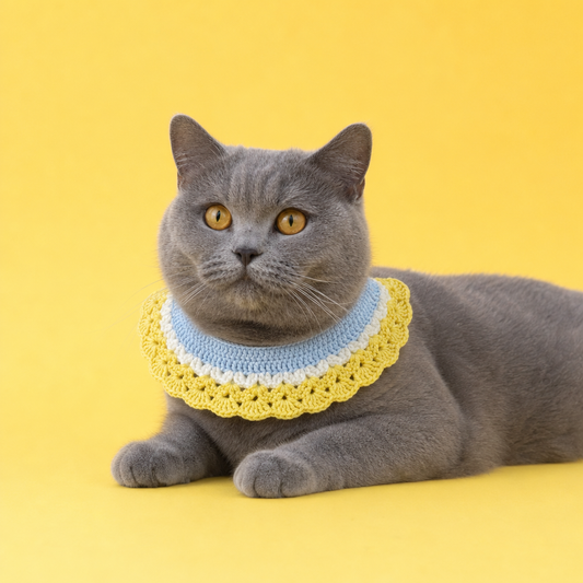 Pink Strawberry Collar