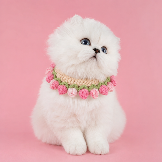 Pink Strawberry Collar