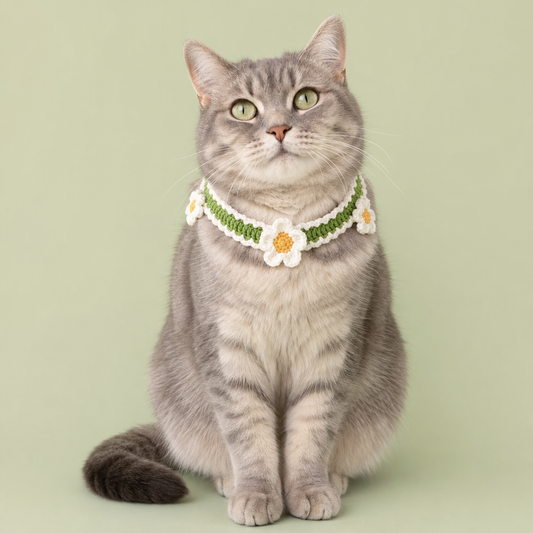 Pink Strawberry Collar